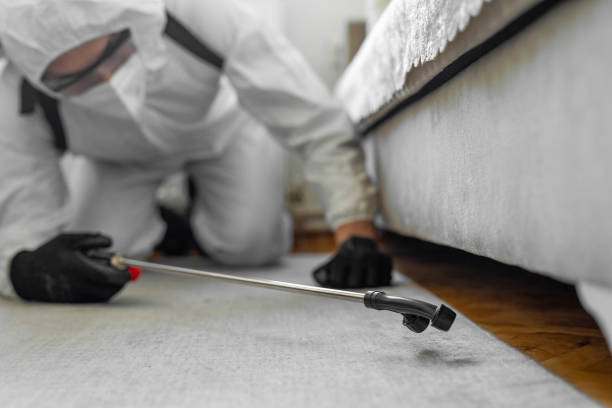 Professional Wasp Control technician working in Lake St. Croix Beach, MN