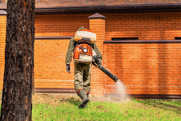 Trusted Emergency Pest Control service in Lake St. Croix Beach, MN - Nex Pest Control